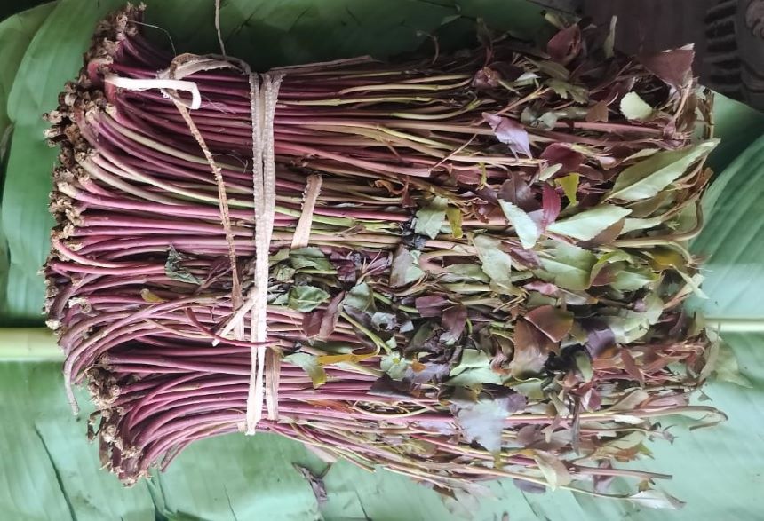 Why KAA Evicted Miraa Traders from Airport